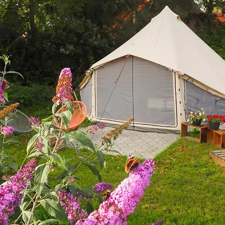 Luxury tent Bell Tent In Voedselbos