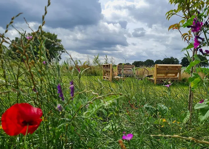 Campo de lujo Bell Tent In Voedselbos *
