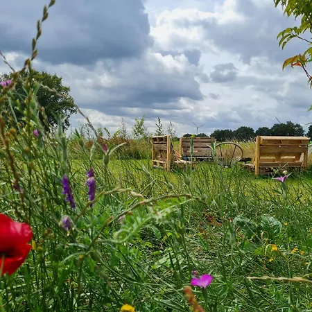 Luksusowy namiot Bell Tent In Voedselbos *